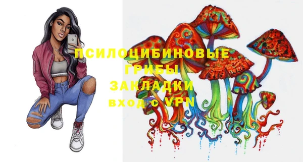 твердый Липки