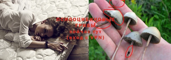 твердый Липки