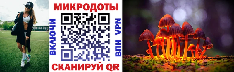 Купить закладки  Сертолово  Псилоцибиновые грибы GOLDEN TEACHER 
